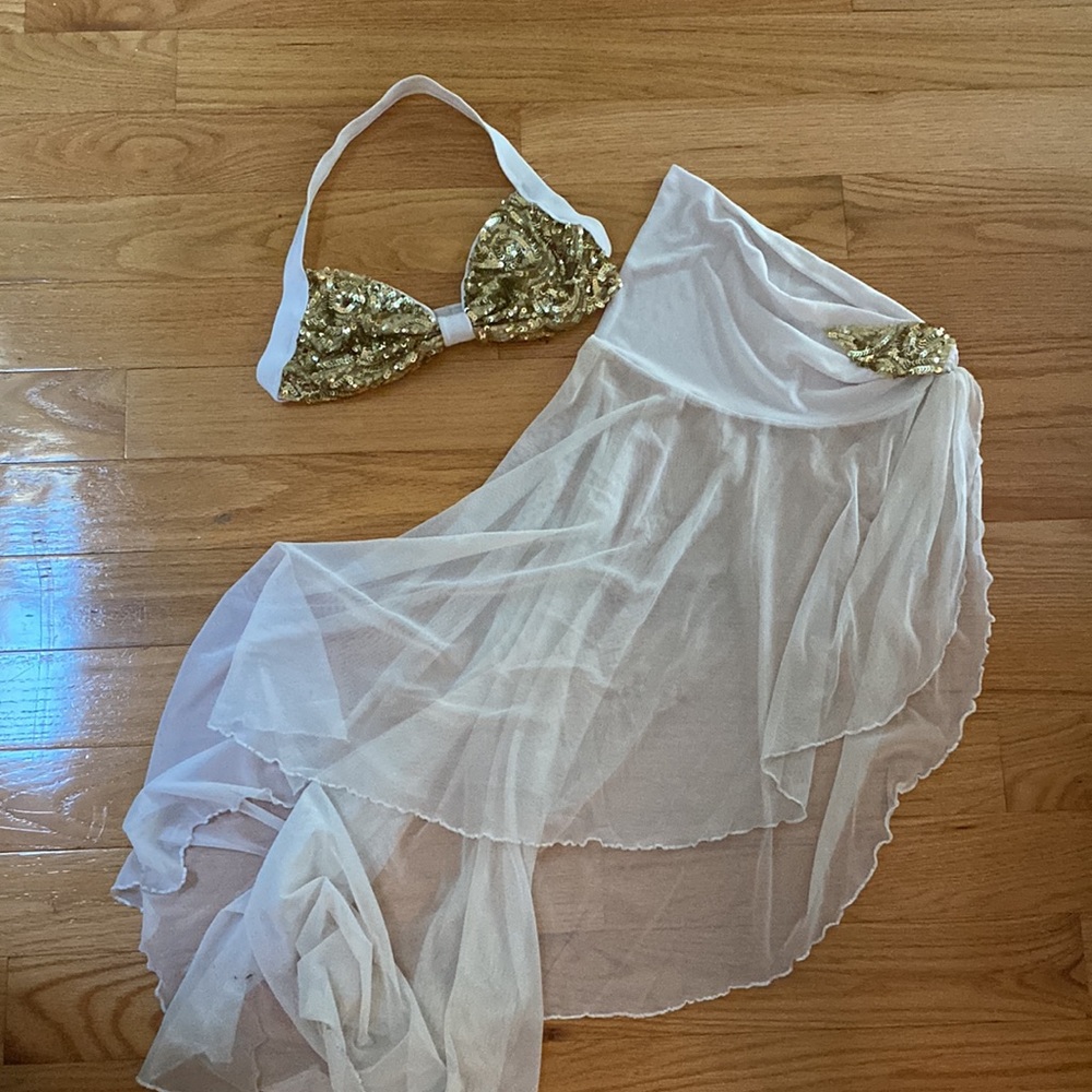 Exotic Dancer Sequin Bra & Tulle Skirt Set